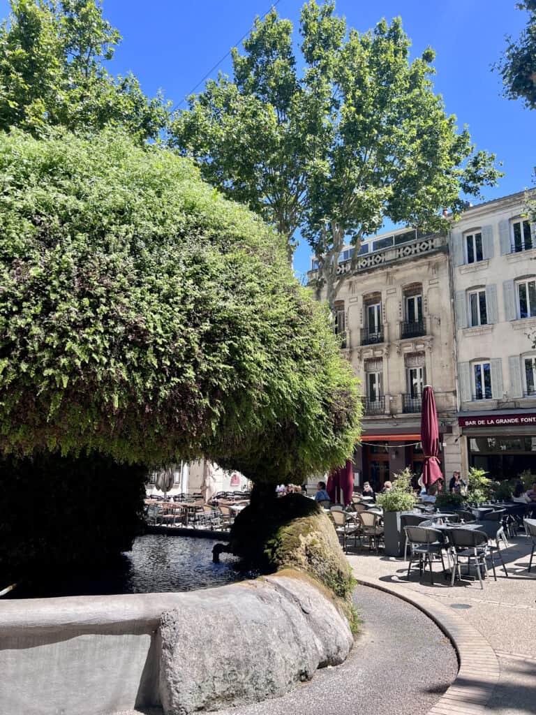 La fontana muschiosa